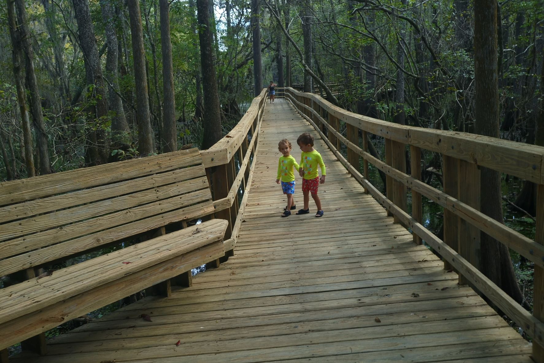 Ginnie Springs / Manatee Springs OCT 2020